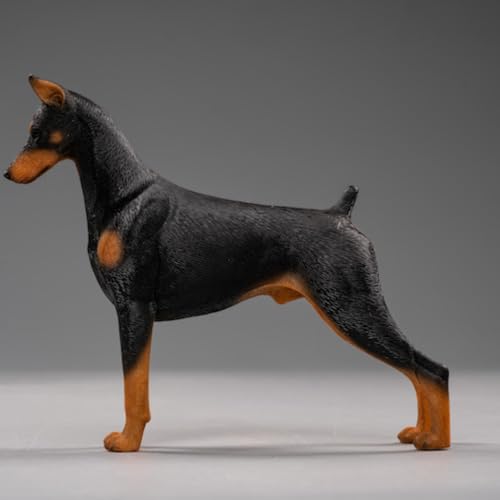 JXK Collectible Dog Figure: Dobermann, Expertly Hand-Painted, Lifelike, Safe Resin, 1:12 Scale Miniature Animal Figurine