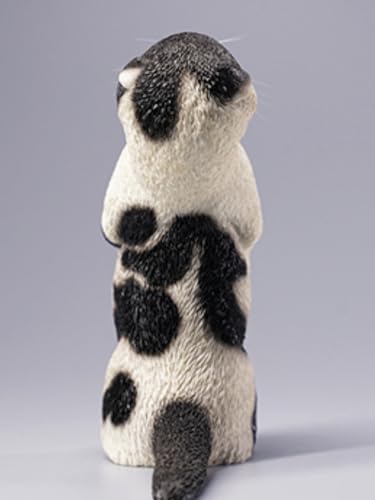 Figura de gato coleccionable JXK: Scottish Fold, pintada a mano por expertos, realista, resina segura, miniatura a escala 1:6