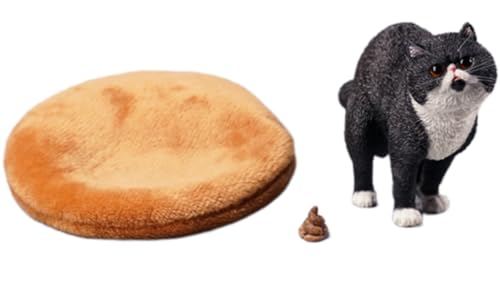 Figura de gato coleccionable JXK: exótico de pelo corto en cuclillas, pintado a mano por expertos, resina realista y segura, miniatura a escala 1:6.