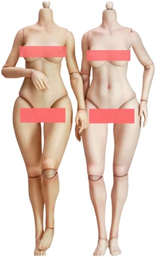 Figura de acción femenina True1Toys a escala 1:6 - Cuerpo alto y regordete, piel clara, busto mediano, EC3025A
