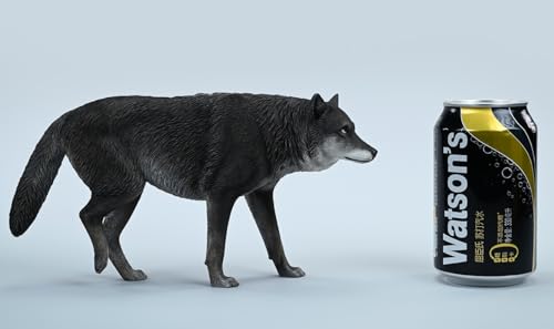 Figura de lobo coleccionable JXK: Lobo gris común, pintada a mano por expertos, realista, resina segura, miniatura a escala 1:6, JXK223A1