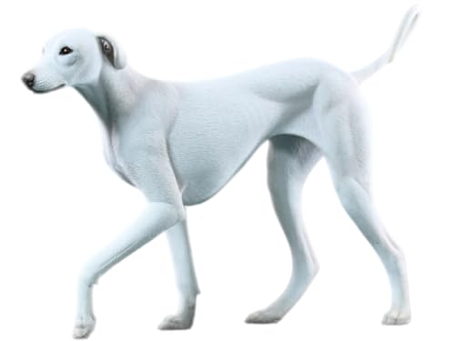 Figura de perro coleccionable JXK: Azawakh, pintada a mano por expertos, de resina realista y segura, miniatura a escala 1:6, JXK192A