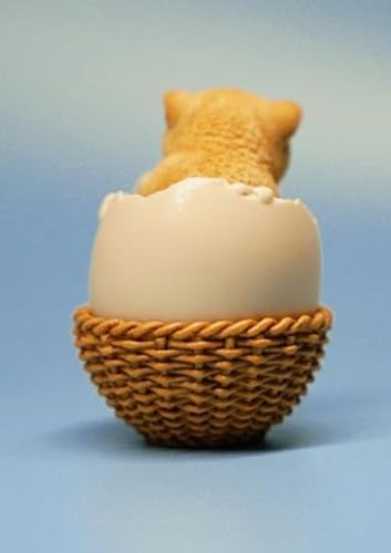 Figura de gato coleccionable JXK: El gato en la cáscara de huevo, pintada a mano por expertos, realista, resina segura, miniatura a escala 1:6.