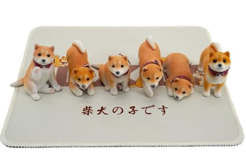 AM-JXK SMALL-JS2401G3