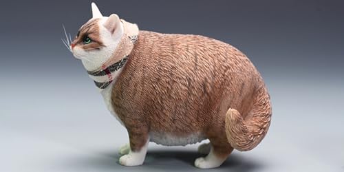 Figura de gato coleccionable JXK: Gato gordo con cabeza cambiante, pintada a mano por expertos, resina realista y segura, miniatura a escala 1:6.