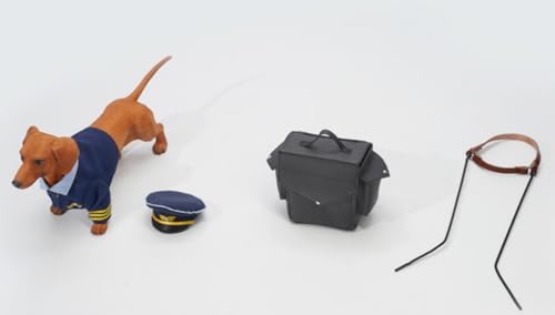 Figura de perro coleccionable JXK: Dachshund, pintada a mano por expertos, realista, de resina segura, miniatura a escala 1:6, JXK163