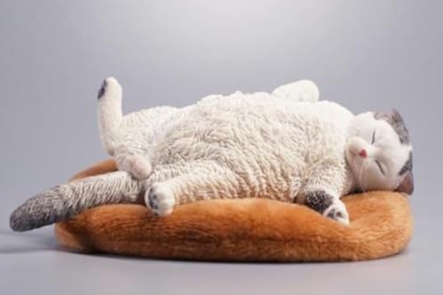Figura de gato coleccionable JXK: Gato letárgico, pintada a mano por expertos, realista, resina segura, miniatura a escala 1:6.