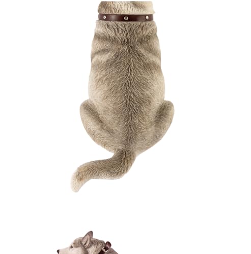 Figura de perro coleccionable JXK: Husky gordo, pintada a mano por expertos, realista, de resina segura, miniatura a escala 1:6.