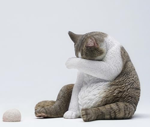 Figura de gato coleccionable JXK: Lazy Cat 6.0, pintada a mano por expertos, realista, de resina segura, miniatura a escala 1:6.