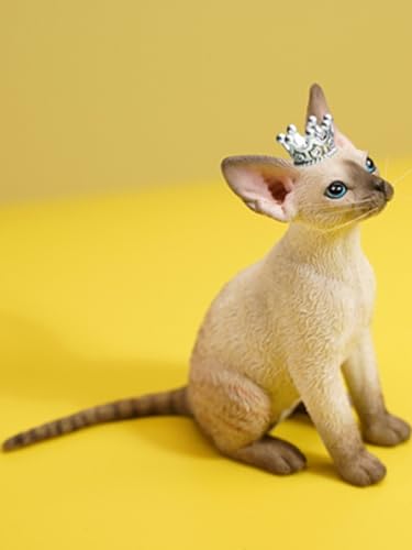 Figurine de chat de collection JXK : Deon Rex, figurine animale miniature à l'échelle 1:6