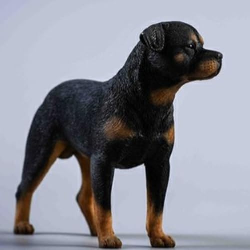 Figura de perro coleccionable JXK: Rottweiler, pintada a mano por expertos, realista, de resina segura, miniatura a escala 1:12, JXK042