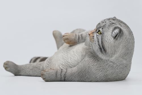 Figura de gato coleccionable JXK: Otocolobus Manul, pintada a mano por expertos, resina realista y segura, miniatura a escala 1:6.