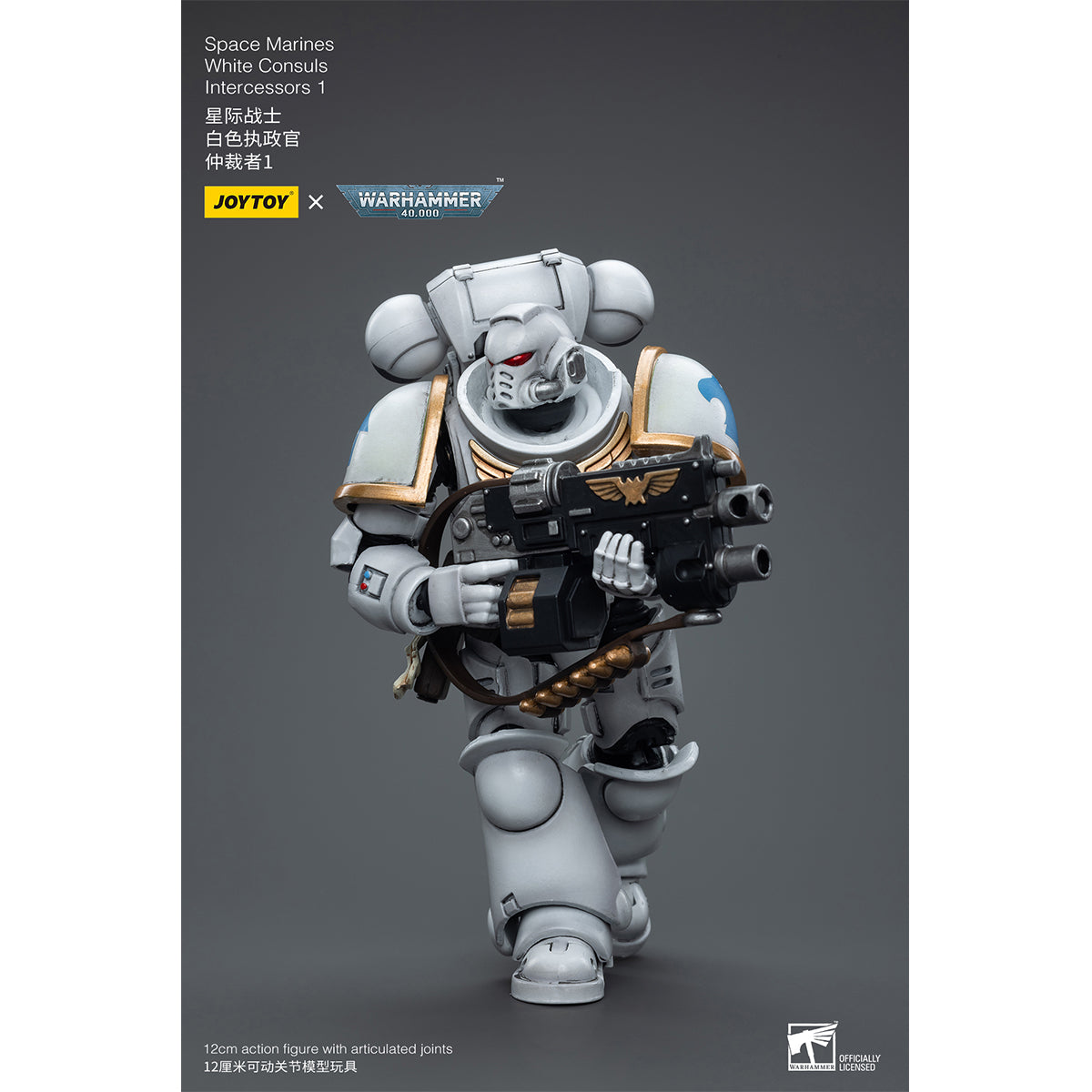 JOYTOY Warhammer 40,000 JT6847 Space Marines White Consuls Intercessors 01 1/18 Scale Action Figure