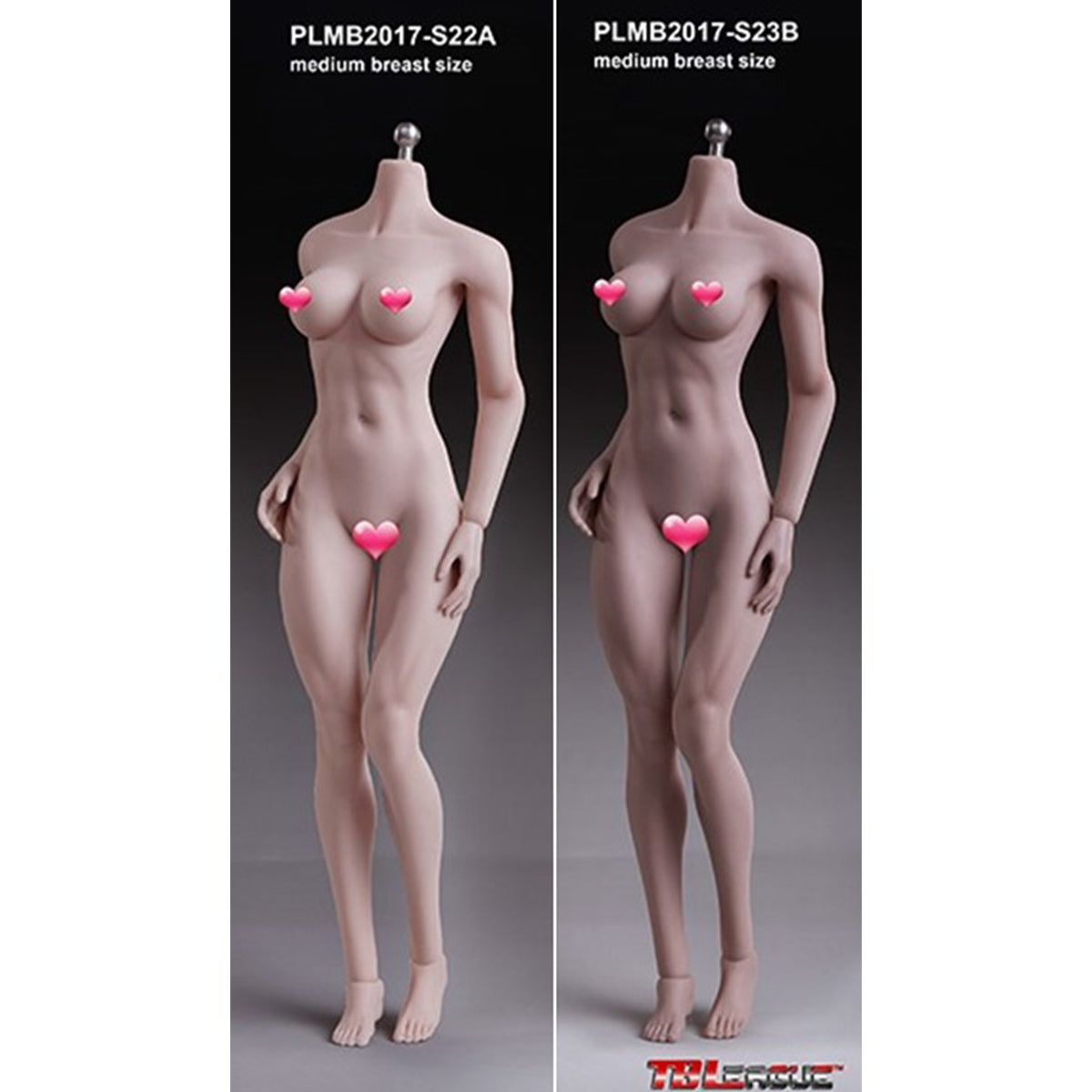 TBLeague Female Seamless Medium/Large Bust More/Medium Muscular Type Headless Detachable Feet 1/6 Scale Action Figure Body