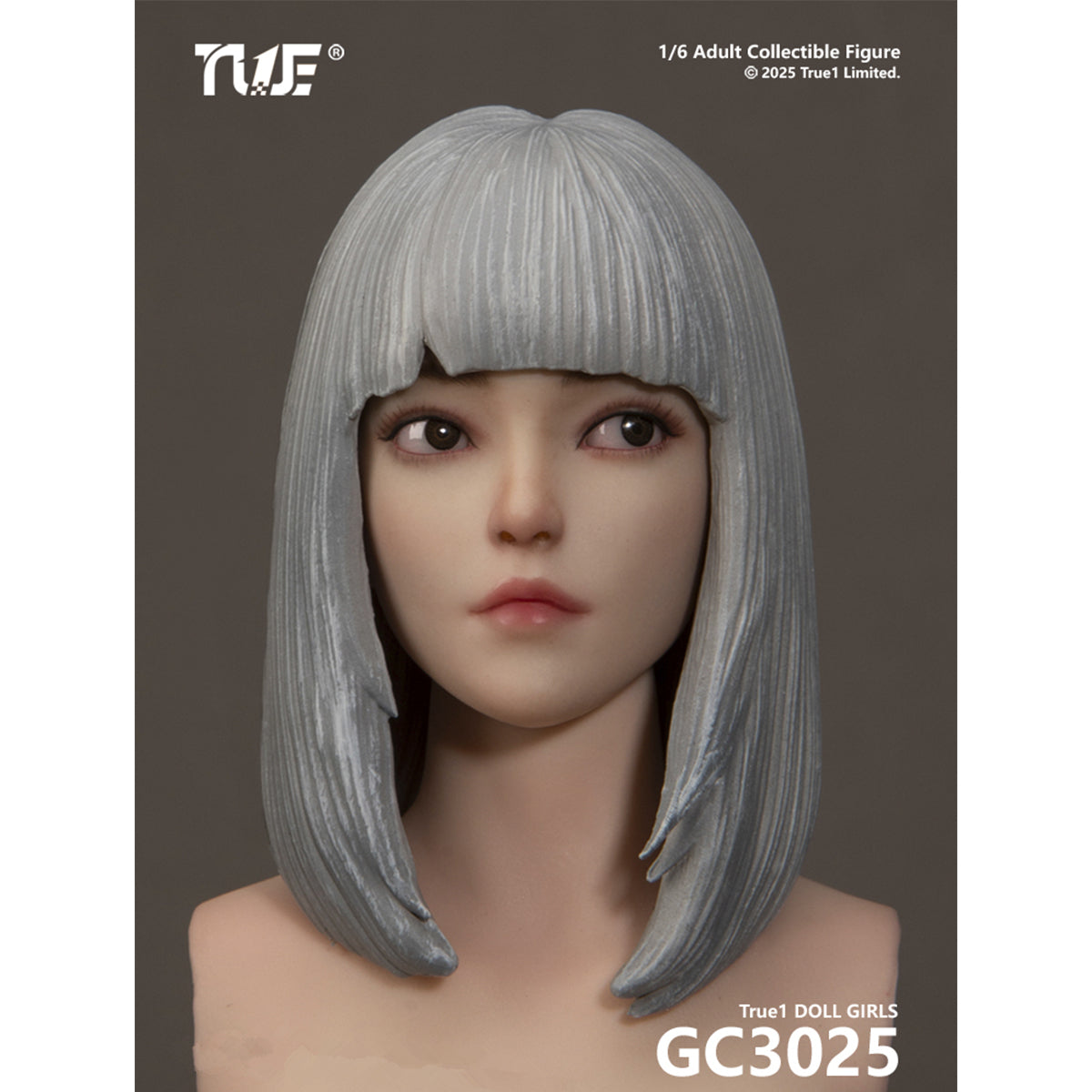 TBLeague Female Articulated Joints Black Hair Light-Suntan Skined & Gray Hair Pale-Skined with Head Sculpt 1/6 Scale Action Figure Body