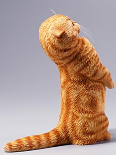 Figura de gato coleccionable JXK: Scottish Fold, pintada a mano por expertos, realista, resina segura, miniatura a escala 1:6