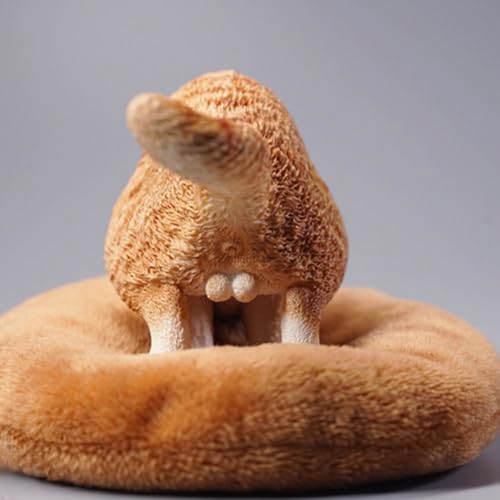 Figura de gato coleccionable JXK: exótico de pelo corto en cuclillas, pintado a mano por expertos, resina realista y segura, miniatura a escala 1:6.