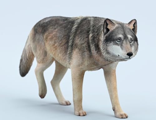 Figura de lobo coleccionable JXK: Lobo gris común, pintada a mano por expertos, realista, resina segura, miniatura a escala 1:6, JXK223A1