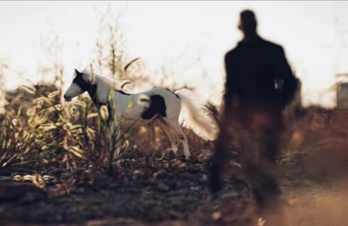Figura de caballo coleccionable JXK: Caballo americano de pintura blanca pardusca, pintado a mano por expertos, resina realista y segura, miniatura a escala 1:6.