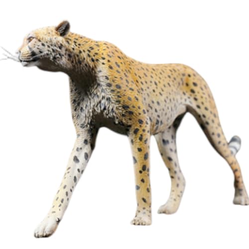 Figura de leopardo coleccionable JXK: Acinonyx Jubatus, pintada a mano por expertos, resina realista y segura, miniatura a escala 1:6, JXK115