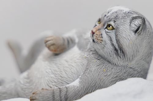 Figura de gato coleccionable JXK: Otocolobus Manul, pintada a mano por expertos, resina realista y segura, miniatura a escala 1:6.