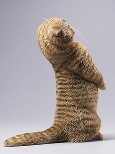Figura de gato coleccionable JXK: Scottish Fold, pintada a mano por expertos, realista, resina segura, miniatura a escala 1:6