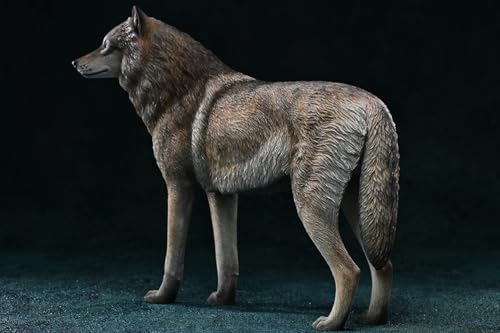 Figura de lobo coleccionable JXK: Lobo ártico, pintada a mano por expertos, realista, resina segura, miniatura a escala 1:6