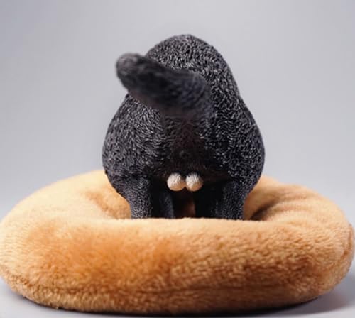 Figura de gato coleccionable JXK: exótico de pelo corto en cuclillas, pintado a mano por expertos, resina realista y segura, miniatura a escala 1:6.