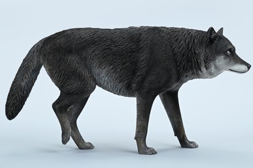Figura de lobo coleccionable JXK: Lobo gris común, pintada a mano por expertos, realista, resina segura, miniatura a escala 1:6, JXK223A1