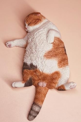 Figura de gato coleccionable JXK: Gato letárgico, pintada a mano por expertos, realista, resina segura, miniatura a escala 1:6.