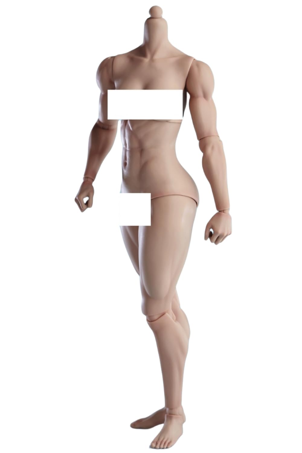 Figura de acción femenina Worldbox a escala 1:6, cuerpo musculoso, busto mediano, piel color trigo.
