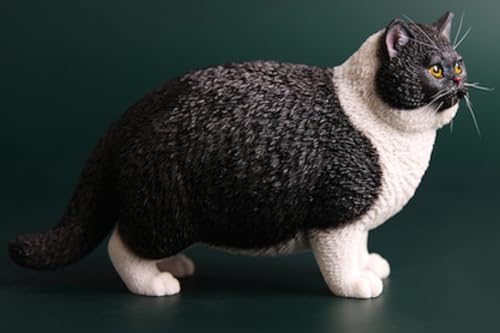 JXK Collectible Cat Figure: British Shorthair Cat, Expertly Hand-Painted, Lifelike, Safe Resin, 1:6 Scale Miniature Animal Figurine