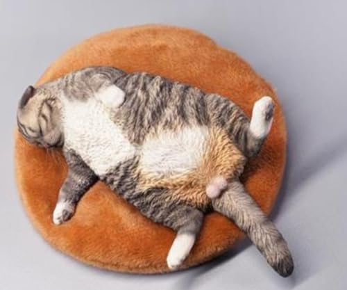 Figura de gato coleccionable JXK: Gato letárgico, pintada a mano por expertos, realista, resina segura, miniatura a escala 1:6.