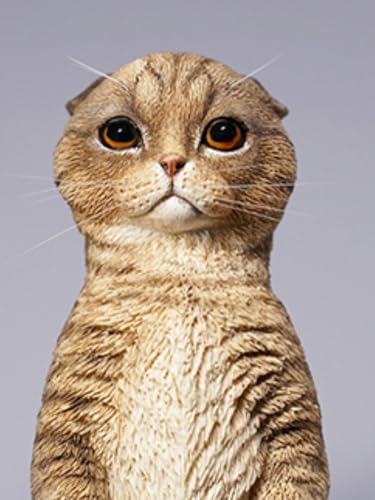 Figura de gato coleccionable JXK: Scottish Fold, pintada a mano por expertos, realista, resina segura, miniatura a escala 1:6