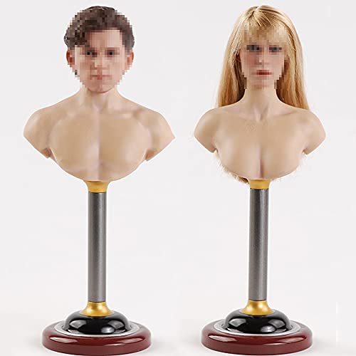 Figura a escala 1/6. Forma del cuerpo: Busto femenino. Phicen/TBLeague ACC067.
