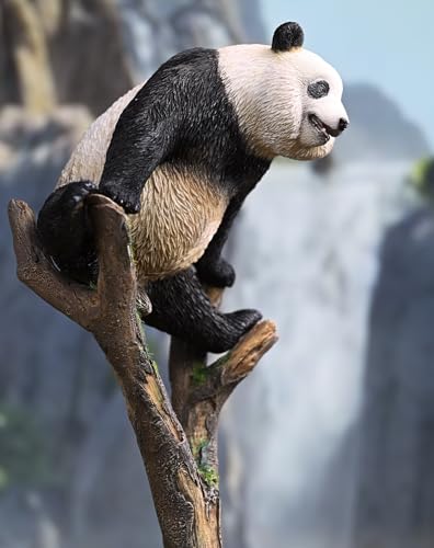 Figura de panda coleccionable JXK: Meng LAN, pintada a mano por expertos, resina realista y segura, miniatura a escala 1:6, JXK205