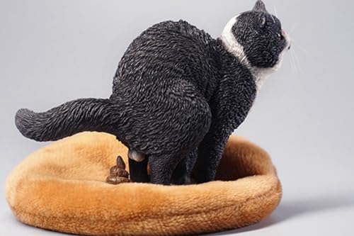 Figura de gato coleccionable JXK: exótico de pelo corto en cuclillas, pintado a mano por expertos, resina realista y segura, miniatura a escala 1:6.