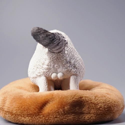 Figura de gato coleccionable JXK: exótico de pelo corto en cuclillas, pintado a mano por expertos, resina realista y segura, miniatura a escala 1:6.