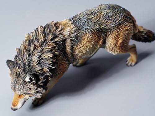 Figurine de loup de collection JXK : loup gris d'Amérique du Nord, peinte à la main avec soin, réaliste, en résine sûre, miniature à l'échelle 1:6