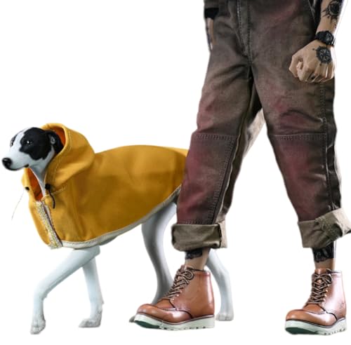 Figura de perro coleccionable JXK: Azawakh, pintada a mano por expertos, de resina realista y segura, miniatura a escala 1:6, JXK192A