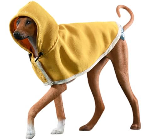 Figura de perro coleccionable JXK: Azawakh, pintada a mano por expertos, de resina realista y segura, miniatura a escala 1:6, JXK192A