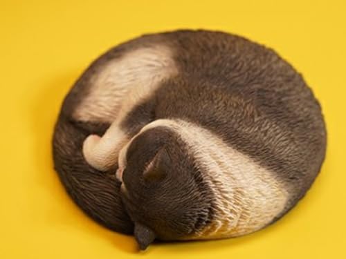 Figura de gato coleccionable JXK: Sleepy Cat 3.0, pintada a mano por expertos, realista, de resina segura, miniatura a escala 1:6.