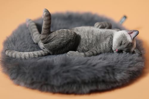Figura de gato coleccionable JXK: Lethargic Cat 5.0, pintada a mano por expertos, realista, de resina segura, miniatura a escala 1:6.