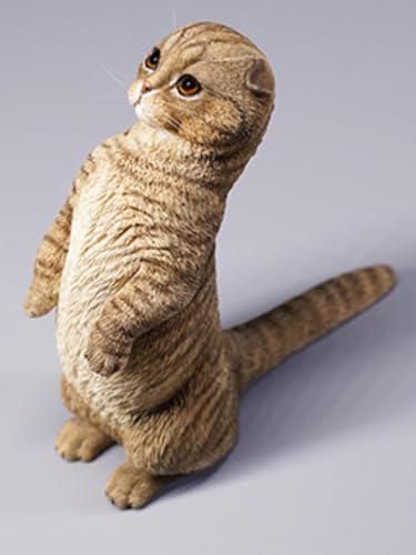 Figura de gato coleccionable JXK: Scottish Fold, pintada a mano por expertos, realista, resina segura, miniatura a escala 1:6