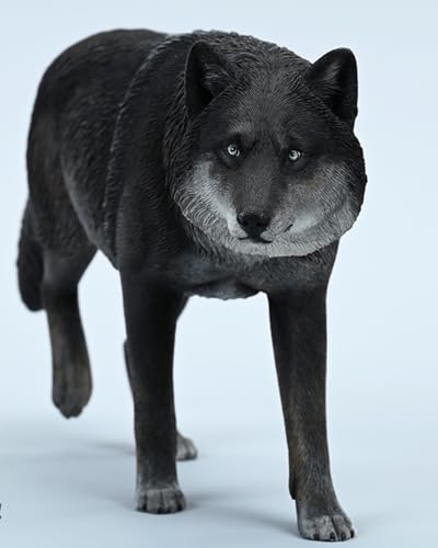 Figura de lobo coleccionable JXK: Lobo gris común, pintada a mano por expertos, realista, resina segura, miniatura a escala 1:6, JXK223A1