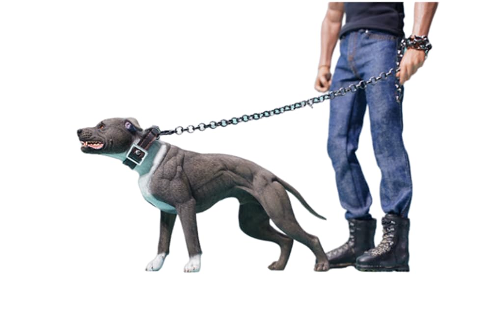 Figura de perro coleccionable JXK: American Pitbull Terrier, pintada a mano por expertos, realista, resina segura, miniatura a escala 1:6, JXK129A