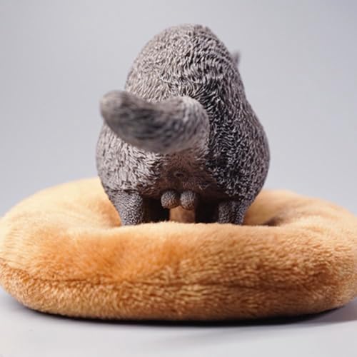 Figura de gato coleccionable JXK: exótico de pelo corto en cuclillas, pintado a mano por expertos, resina realista y segura, miniatura a escala 1:6.