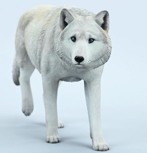 Figura de lobo coleccionable JXK: Lobo gris común, pintada a mano por expertos, realista, resina segura, miniatura a escala 1:6, JXK223A1