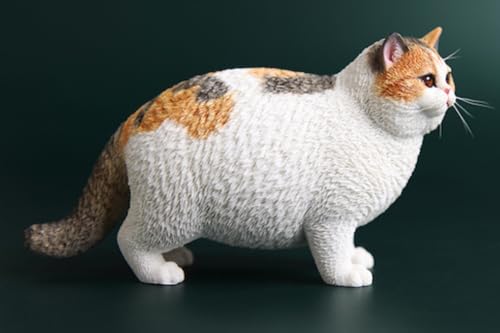 JXK Collectible Cat Figure: British Shorthair Cat, Expertly Hand-Painted, Lifelike, Safe Resin, 1:6 Scale Miniature Animal Figurine