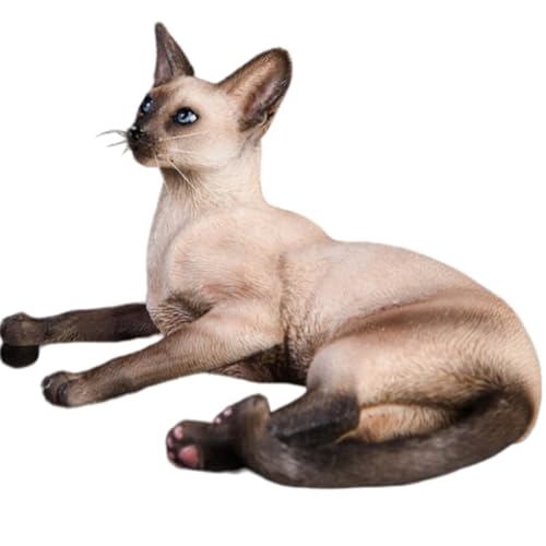 Figura de gato coleccionable JXK: gato siamés, pintada a mano por expertos, realista, resina segura, miniatura a escala 1:6.